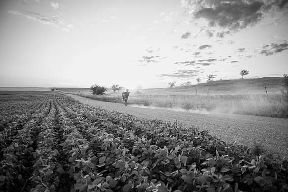 NGP_4961-Edit-2