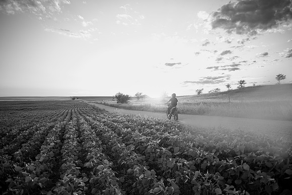NGP_4952-Edit-2