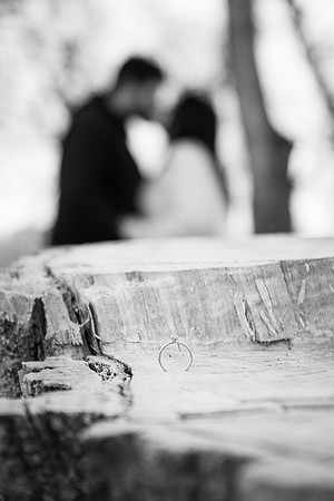 NGP_3676-Edit-2