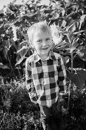 NGP_9538-Edit-2