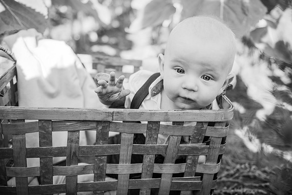 NGP_9772-Edit-2